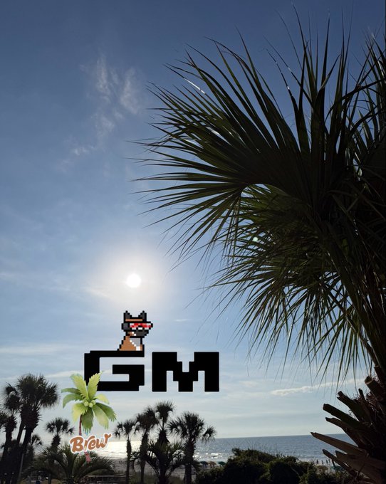A bright morning sky with the sun shining over palm trees and a beach, featuring a pixel art dog and the text "GM" with "Brad" labeled next to a palm tree graphic — visually reinforcing the "Good Morning" greeting and bullish "keep stacking" crypto spirit of the post.