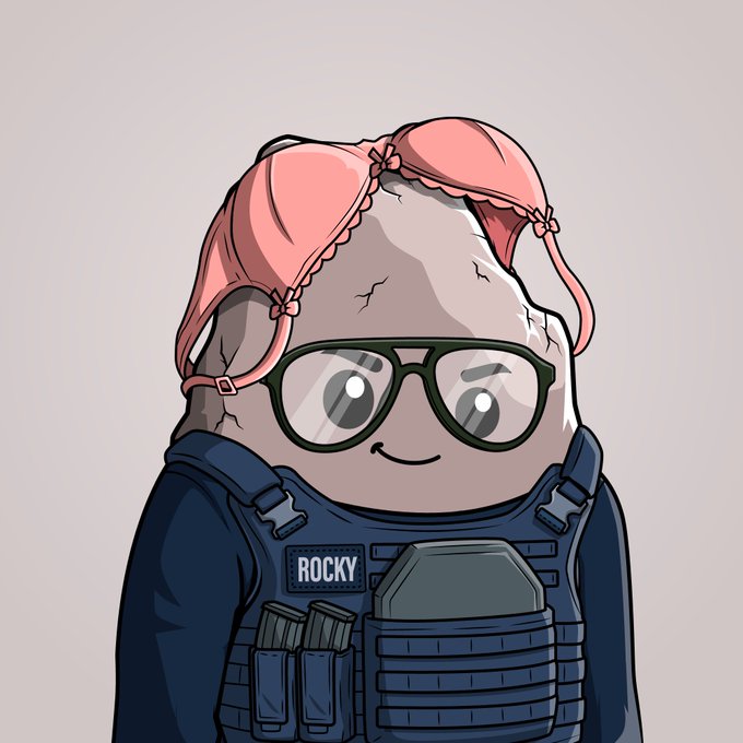A cartoon illustration of a round, gray rock-like character with cracks, wearing black-rimmed glasses, a pink sleeping cap, and a dark blue tactical vest with a name patch reading "ROCKY".