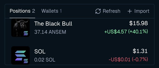 A crypto portfolio showing 'Positions 2' with 'The Black Bull' at $15.98 (37.14 ANSEM, +40.1%) and SOL at $1.31 (0.02 SOL, -0.7%).