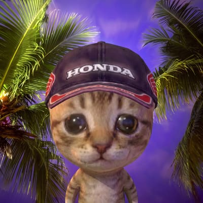 An edited, humorous image features a cat wearing a cap labeled "HONDA" in front of palm trees against a purple sky.