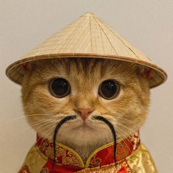 A digital composite image features a cute orange cat's face wearing a traditional Asian conical bamboo hat and a patterned red and gold garment with a stylized black mustache.
