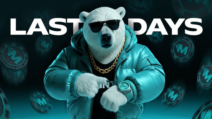 A white polar bear wearing sunglasses, a teal puffer jacket, and gold chain, surrounded by '$AXIS' coins with text 'LAST 7 DAYS'