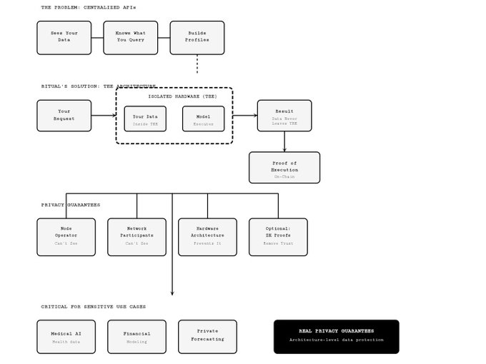 A flowchart diagram titled 'THE PROBLEM: CENTRALIZED APIs' and 'RITUAL'S SOLUTION: THE ARCHITECTURE' explaining privacy guarantees through isolated hardware TEE, with sections on Node Operator, Network Participants, Hardware Architecture, and sensitive use cases like Medical AI, Financial Modeling, and Private Forecasting.