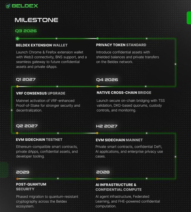 A 'BELDEX' cryptocurrency project milestone timeline outlining development phases from Q3 2026 (Beldex Extension Wallet) through 2028 (AI Infrastructure), including Privacy Token Standard and EVM sidechain plans.