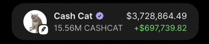 The image displays a profile card for "Cash Cat" (verified, holding 15.56M CASHCAT tokens) with a balance of $3,728,864.49 and a notable gain of +$697,739.82. The associated post, which promotes an airdrop of "$10,000 CASHCAT for 222 wallets" via @Earnerfun, suggests this profile represents one of the top winners who received a substantial share of the token distribution.