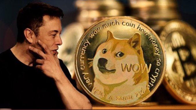 A composite image showing Elon Musk on the left alongside a large Dogecoin-style meme coin labeled "WOW" with the text "wow much coin how money. so crypto. plz mine" around its edge, set against a Bitcoin background.