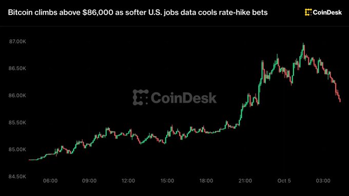 A CoinDesk chart showing Bitcoin's price climbing above $86,000 as softer U.S. jobs data cools rate-hike bets, with price peaking near $87K.