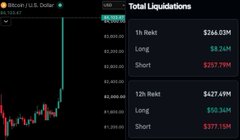 A cryptocurrency trading interface showing 'Total Liquidations' for BTC/USD with 1h Rekt of $244.03M, Long liquidations of $8.24M, Short liquidations of $237.79M, 12h Rekt of $427.49M, Long at $50.34M, and Short at $377.15M.