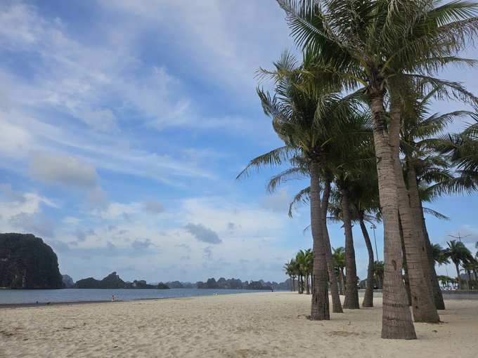 The image shows a beautiful beach scene with palm trees lining the shore, creating a serene atmosphere. The sky above is blue with some clouds scattered across it. There are also people present at the beach, enjoying their time near the water's edge. The photo captures the essence of relaxation and tranquility that one might experience while spending time by the ocean or on a sandy beach.