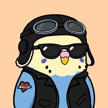 A cartoon illustration features a round, yellow chick character wearing a black aviator cap, goggles, and sunglasses, dressed in a blue shirt and black leather jacket with a 'I ❤️ my mom' patch.