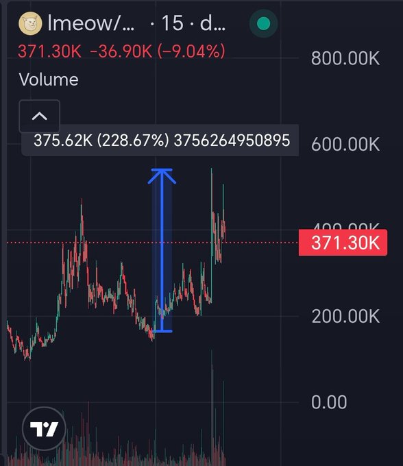 A TradingView chart for meme coin $LMEOW (lmeow/...) shows a price of 371.30K, down -9.04% (-36.90K), with a highlighted volume of 375.62K (228.67%), alongside an upward blue arrow illustrating the substantial gains referenced in the celebratory post.
