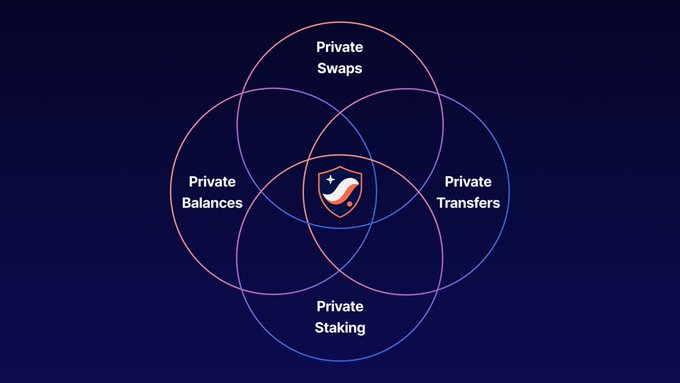 A Venn diagram on a dark background shows four overlapping circles labeled "Private Swaps," "Private Balances," "Private Transfers," and "Private Staking," with a shield logo at the center, illustrating the comprehensive privacy features available on Starknet.