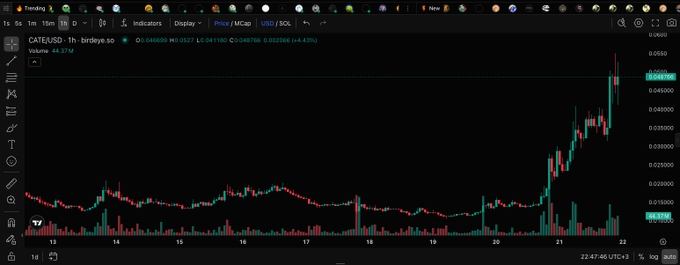 A cryptocurrency trading chart displays the CATE/USD pair on the BirdEye platform, showing a sharp price spike on a candlestick graph.