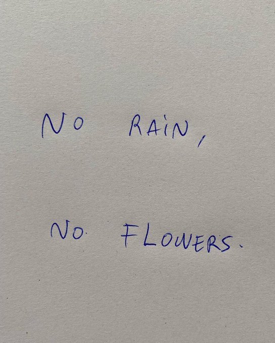Handwritten blue text on white paper reading 'No RAIN, No. FLOWERS.'
