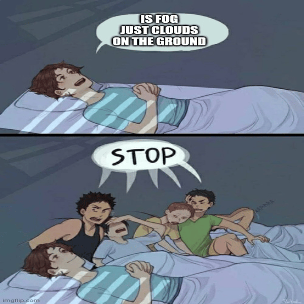 Two-panel imgflip meme: top panel shows a sleeping child asking 'IS FOG JUST CLOUDS ON THE GROUND', bottom panel shows siblings yelling 'STOP' at the child.