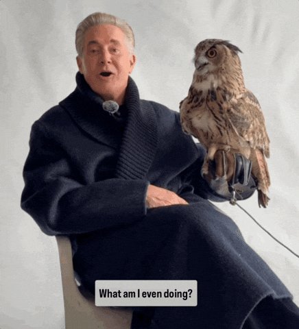 urnador, a man with gray hair and a blue coat, sits on a chair holding an owl perched on his arm.
