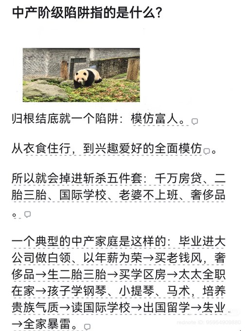 The image contains a Chinese social media post titled "中产阶级陷阱指的是什么？" (What is the middle-class trap?) alongside a photo of a panda sitting in an enclosure. The post explains that the trap is imitating the rich—from clothing, food, housing, and transportation to hobbies—and outlines a typical cycle of falling into financial burden through buying a house, having multiple children, sending them to international schools, and maintaining a stay-at-home spouse, ultimately leading to family breakdowns.