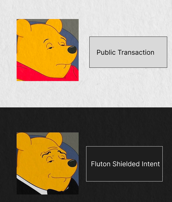 A two-panel meme using Winnie the Pooh: the top panel with a normal Pooh labeled 'Public Transaction', and the bottom panel with a suit-wearing Pooh labeled 'Fluton Shielded Intent'.