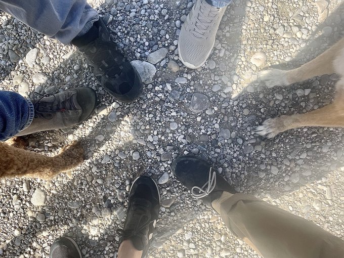 A downward-facing photograph captures the feet and shoes of a few people standing in a circle on a surface of small, grey gravel, with parts of a dog visible on the edges.
