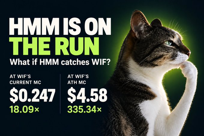 A promotional graphic featuring a cat with text 'HMM IS ON THE RUN' and 'What if HMM catches WIF?' showing potential price targets of $0.247 (18.09x) at WIF's current market cap and $4.58 (335.34x) at WIF's ATH market cap.