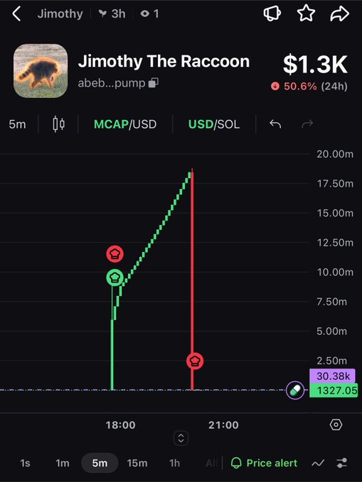 A price chart for "Jimothy The Raccoon" ($Jimothy) shows the token's market cap spiking to approximately 19m before plummeting back down to around 1.3K, illustrating the classic pump-and-dump/rug pull pattern warned about in the post.