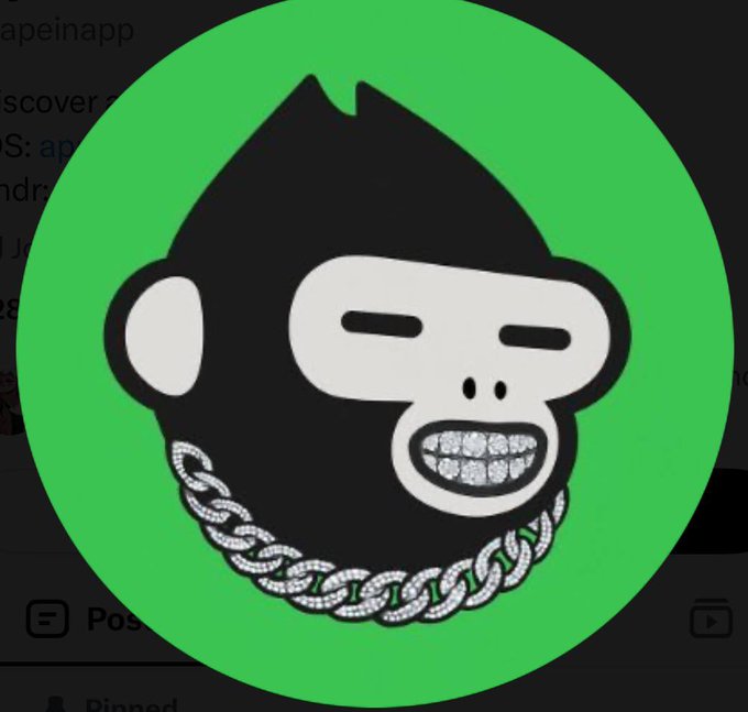 A green circular logo features a stylized black monkey head with a white face wearing a diamond-encrusted chain, with partial text visible in the background including 'apeinapp'.
