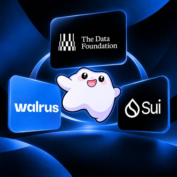 A digital promotional graphic featuring a cute cartoon walrus mascot surrounded by logos for 'Walrus,' 'Sui,' and 'The Data Foundation' on a dark blue background.