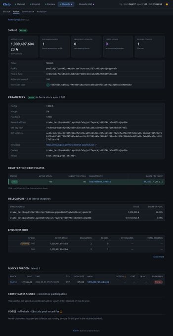 A detailed blockchain explorer page for a crypto transaction on the KIsir testnet, displaying smart contract source, parameters, and delegator information.