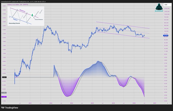 A TradingView chart of Solana (SOL/USD) on a weekly timeframe shows the price trading below $80, with descending channel annotations and a Stochastic RSI oscillator in oversold territory, visually supporting the post's bearish outlook on a potential reversal.