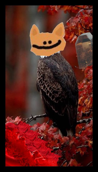 An edited image of a bald eagle perched among red autumn leaves, with its head replaced by a cartoon orange cat face featuring a wide smile.