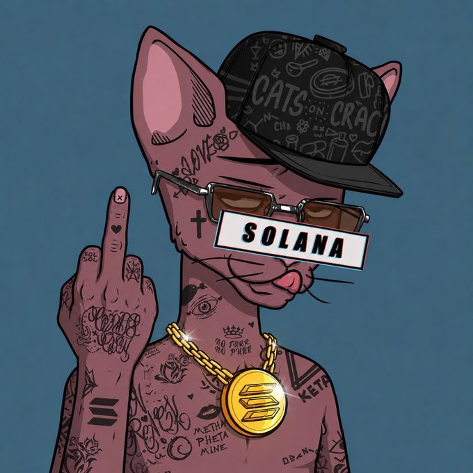 A digital illustration of a hairless Sphynx cat character wearing a black 'CATS ON CRAC' cap, sunglasses, and a large gold Solana coin necklace, making a middle finger gesture with a 'SOLANA' label on its mouth.