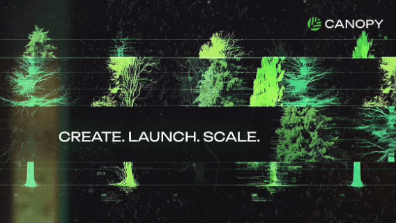 The image features a green-themed graphic with stylized tree silhouettes against a dark background, displaying the "CANOPY" logo in the upper right and the bold tagline "CREATE. LAUNCH. SCALE." across the center. The tree imagery symbolically represents Canopy's (@CNPYNetwork) blockchain-as-a-service concept, where each tree reflects a custom-built blockchain tailored to a specific use case—much like growing a solution organically rather than forcing it onto a one-size-fits-all chain.