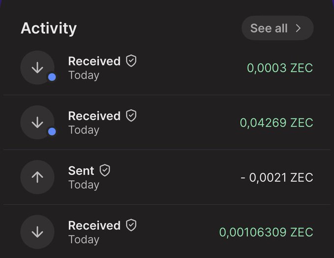 The Zcash (ZEC) wallet activity feed shows four transactions from today: three received payments of 0.0003 ZEC, 0.04269 ZEC, and 0.00106309 ZEC, plus one sent transaction of -0.0021 ZEC. This supports the excitement about the "zcash gang" by showcasing active incoming ZEC transactions.