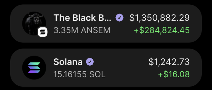 A dark-themed wallet interface showing two accounts: 'The Black B...' with $1,350,882.29 (3.35M ANSEM, +$284,824.45) and 'Solana' with $1,242.73 (15.16155 SOL, +$16.08).