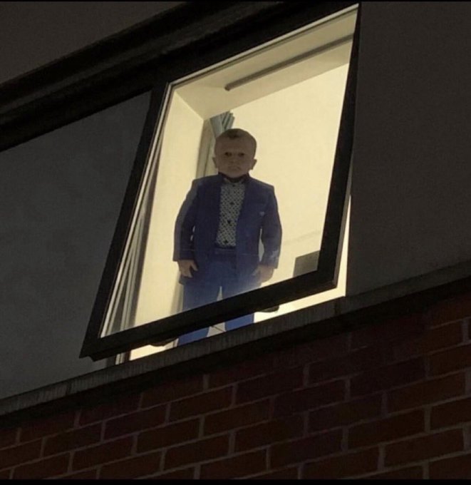 A young child wearing a blue suit with a bow tie stands looking out from an open window at night, viewed from below against a brick wall.