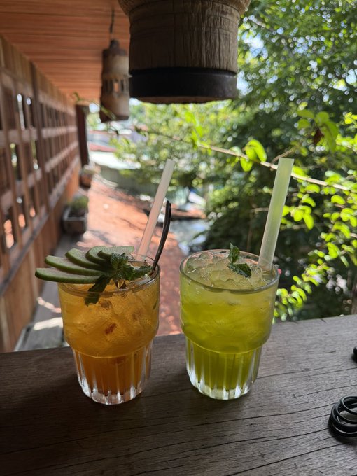 Two iced cocktails sit on a wooden balcony railing against a lush green backdrop; the left drink is garnished with cucumber slices and the right with mint.