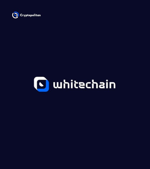 A dark navy graphic displaying the 'whitechain' logo in the center and a 'Cryptopolitan' logo in the top-left corner.