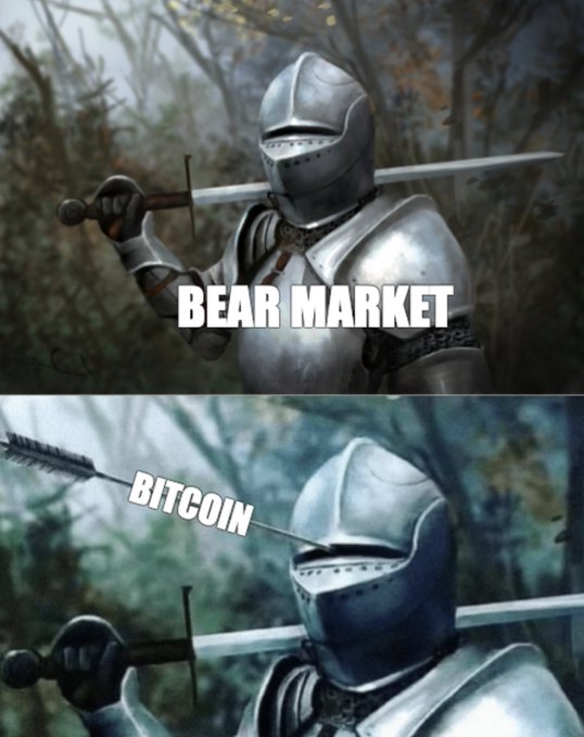 Two-panel meme showing an armored knight being struck by an arrow, labeled 'BITCOIN' piercing through 'BEAR MARKET'.