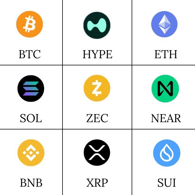 The image displays a 3x3 grid of cryptocurrency logos and tickers, featuring BTC, HYPE, ETH, SOL, ZEC, NEAR, BNB, XRP, and SUI. It serves as a visual prompt for the question of which of these nine coins one would invest a $50,000 allocation into.