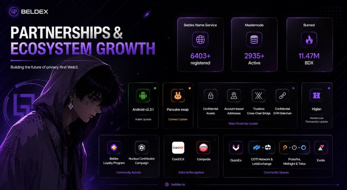 A promotional graphic for BELDEX titled 'PARTNERSHIPS & ECOSYSTEM GROWTH' showing metrics like 6403+ registered, 2935+ active, and 11.47M BDX burned, alongside logos of partner projects including PancakeSwap, Hidjan, CoinGecko, and COTI Network.