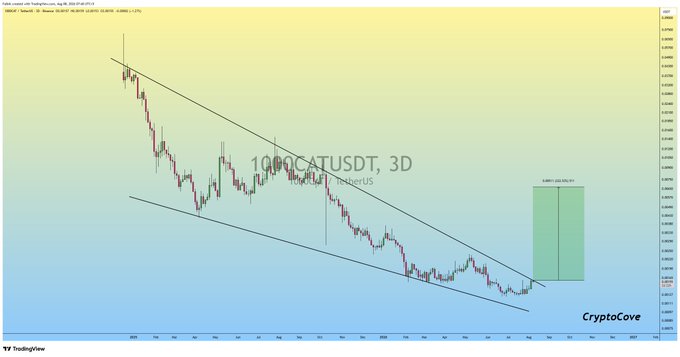 A 3D candlestick chart for 1000CATUSDT shows price action contained within a descending falling wedge pattern, with a projected green target zone indicating a potential +300% bullish breakout rally, aligning with the post's bullish expectations.