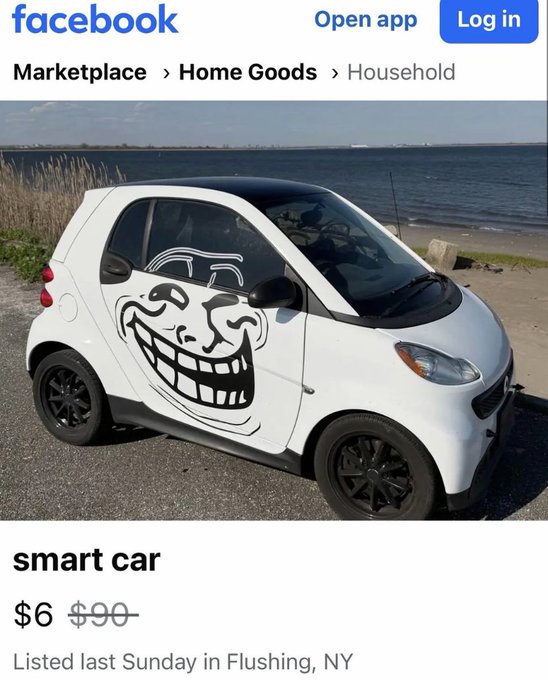 The image shows a white smart car parked next to a body of water, possibly a lake or ocean. There are also some text elements in the image that read " facebook marketplace home goods household", which could be related to the car's features or accessories. The main focus is on the car itself and its surroundings.