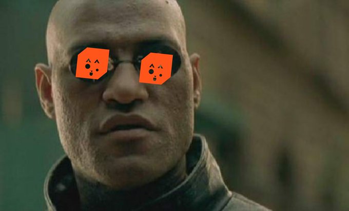 A close-up of a bald, scarred man wearing small round glasses (Morpheus from The Matrix) stares intensely into the camera, with his eyeglass lenses digitally replaced by orange hexagonal Sad Cat Stickers—a visual nod to the post's "red pill" reference, with $STRAY replacing the iconic red pill as the choice to "take."