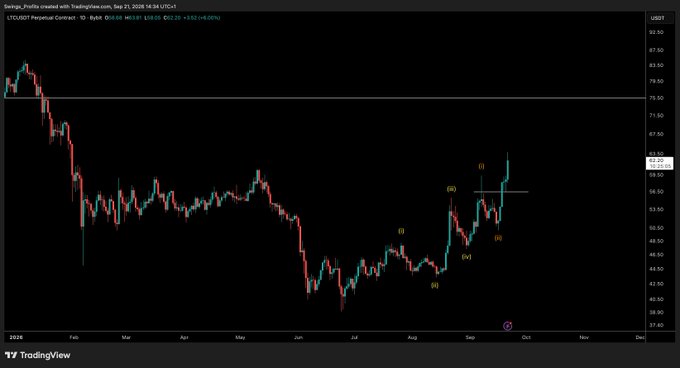 A daily candlestick chart of LTC/USDT Perpetual Contract (TradingView, by Swinger_Profile) shows price declining from ~$84 to lows near $40 before staging a recovery with an Elliott Wave-style labeled rally (i-ii-iii-iv-v) toward ~$63, where recent candles have visibly increased in size—consistent with the caption noting that LTC's candles are getting bigger and bigger.