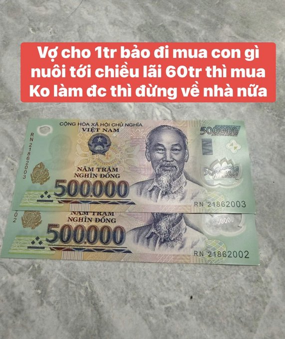 Two 500,000 Vietnamese Dong banknotes (serial numbers RN 21862003 and RN 21862002) laid on a gray surface with a red caption reading: 'Vợ cho 1tr bảo đi mua con gì nuôi tới chiều lãi 60tr thì mua Ko làm dc thì đừng về nhà nữa' (Wife gives 1 million, told to buy something to raise to earn 600k profit by afternoon—if you can't, don't come home).