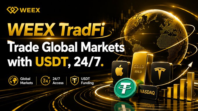 The image features a large globe surrounded by various coins, including Bitcoin, Trex, and USDT. The text above the coin icons reads "WEEX TRADfi Trade Global Markets with usdt, 24/7." In addition to this information, there is an overlay of a currency chart, likely showing the price movements of different coins over time, indicating the dynamic nature of global markets and the value of forex trading.