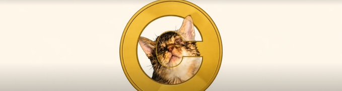 A creative graphic featuring a tabby cat's face framed inside a golden ring or coin, set against a white gradient background.