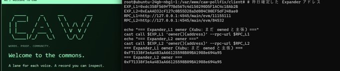 A split-screen showing the CAW (Words. Proof. Community.) logo with the tagline 'Welcome to the commons' on the left, and terminal output of blockchain RPC commands checking 'Expander' addresses on the right.