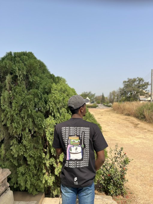A man wearing a black t-shirt with repeating text 'ASK ME ABOUT MY BRIDGES' and a cartoon character design stands facing away from the camera near green hedges.