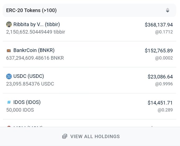 Screenshot of an ERC-20 token wallet showing holdings including Ribbita by V... (tibbir) valued at $368,137.94, BankrCoin (BNKR) at $152,765.89, USDC at $23,086.64, and IDOS at $14,451.71, with a 'VIEW ALL HOLDINGS' button.